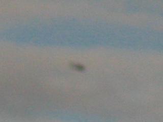 submitted by SharonH