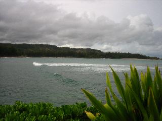 submitted by SharonH