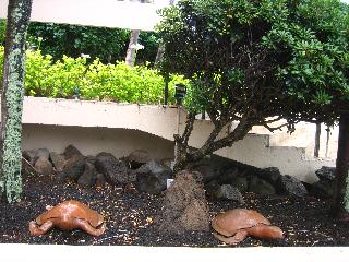 submitted by SharonH