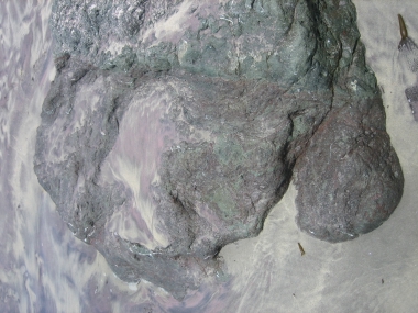 photograph by Russell Holder