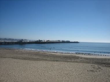 photograph by Russell Holder