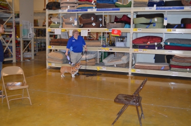 photograph by Russell Holder