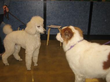 photograph by Russell Holder