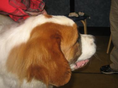 photograph by Russell Holder