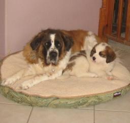 12FEB13: 'Penny' day 4 in West Sac 12FEB13: 'Penny' day 4 in West Sac