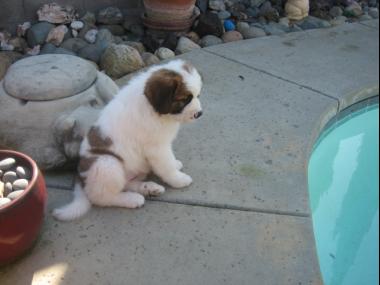 photograph by Russell Holder