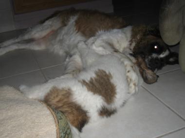 photograph by Russell Holder