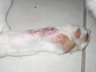 photograph by Russell Holder