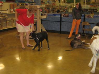 photograph by Russell Holder