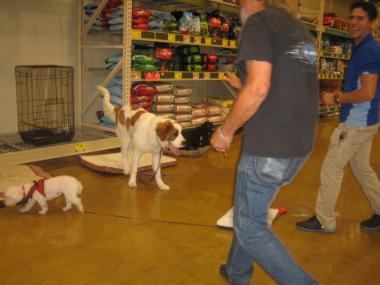 photograph by Russell Holder