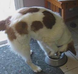 09NOV13: 'Penny' month 10 in West Sac 09NOV13: 'Penny' month 10 in West Sac