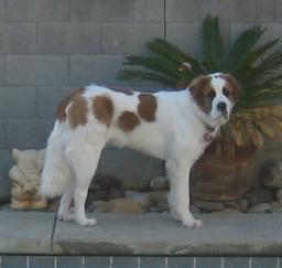 09DEC13...: 'Penny' month 11 in West Sac 09DEC13...: 'Penny' month 11 in West Sac