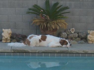 photograph by Russell Holder