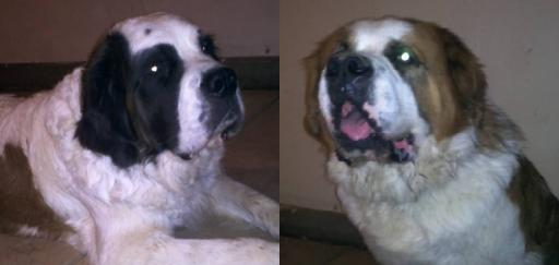 Penny's mom and dad Penny's mom and dad